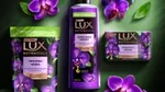A gama de produtos Lux Botanicals Orquídea Negra rodeada por flores de orquídeas.